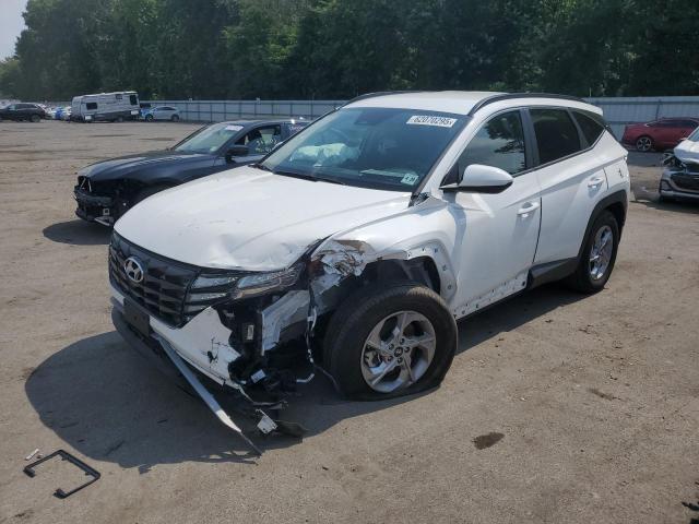 HYUNDAI TUCSON SEL 2024 with VIN 5NMJBCDE9RH401484 - Photo from auction