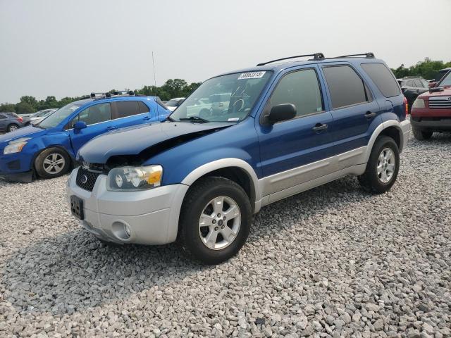 FORD ESCAPE XLT 2007 with VIN 1FMYU03167KA06276 - Photo from auction