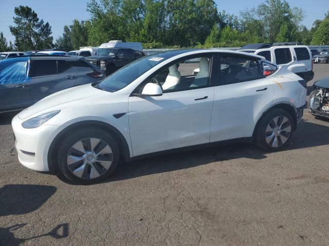 TESLA MODEL Y 2020 with VIN 5YJYGDEE8LF023946 - Photo from auction