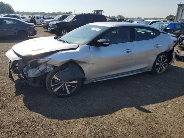 NISSAN MAXIMA SV 2023 with VIN 1N4AA6CV2PC510229 - Photo from auction