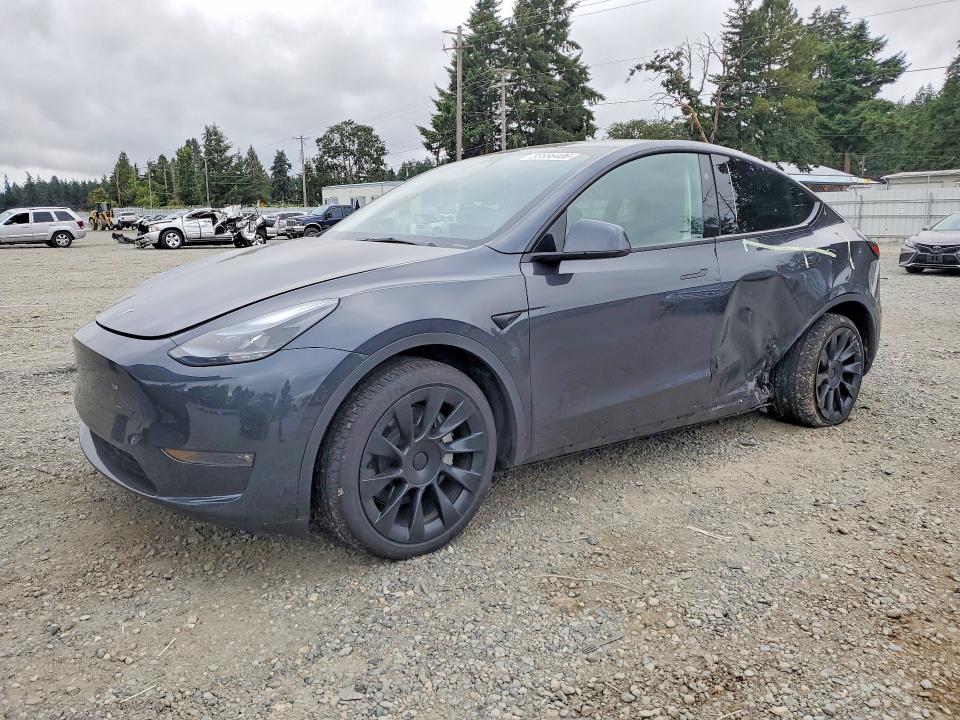 TESLA MODEL Y 2025 with VIN 7SAYGDEE5SF286509 - Photo from auction