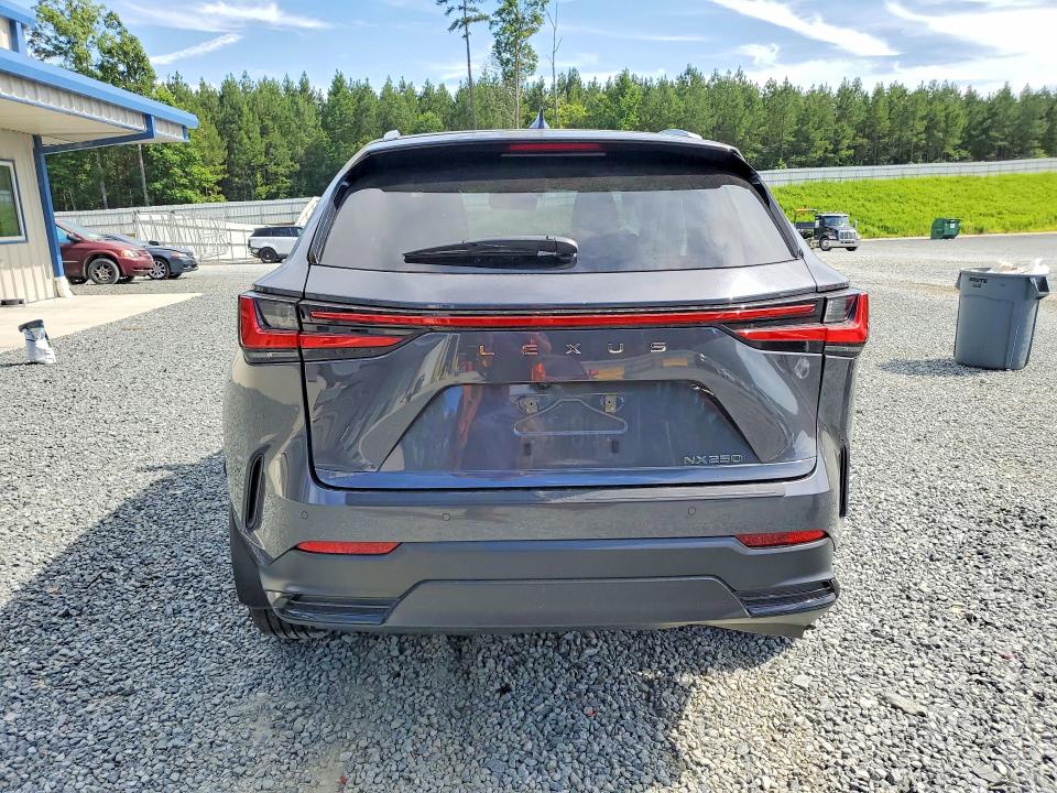 Photo 6 from auction – 2024 LEXUS NX with VIN 2T2GDCAZ0RC013668