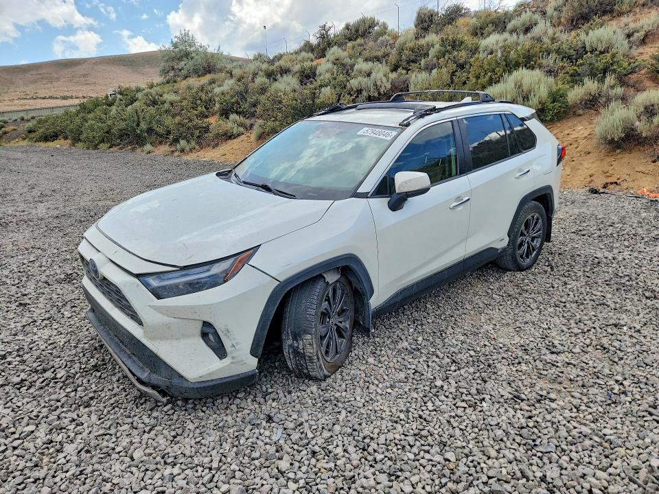 TOYOTA RAV4 2022 with VIN JTMD6RFV8NJ021798 - Photo from auction