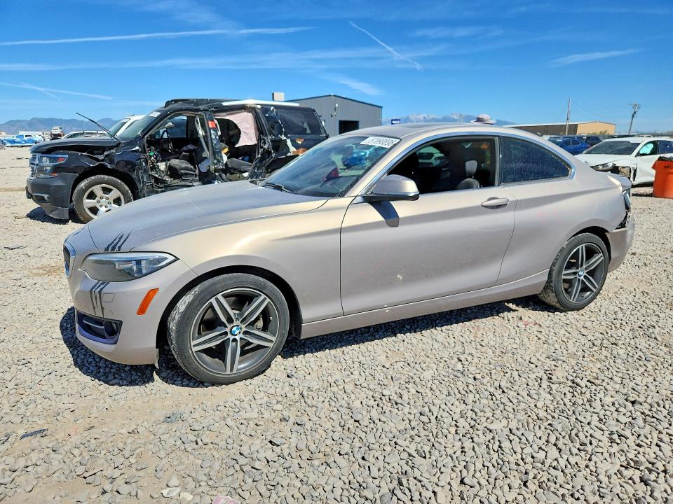 BMW 230XI 2017 z numerem VIN WBA2H9C30HV642578 - Zdjęcie z aukcji