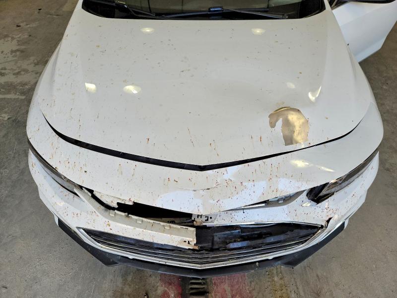Photo 11 from auction – 2017 CHEVROLET MALIBU with VIN 1G1ZE5ST4HF163779