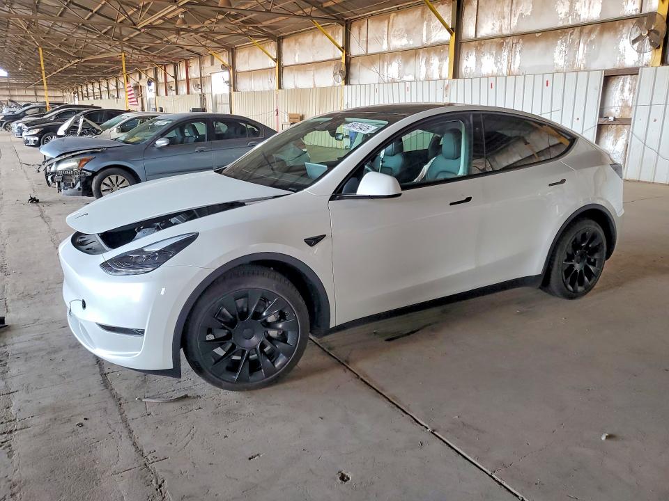 TESLA MODEL Y 2024 with VIN 7SAYGDED1RF093999 - Photo from auction