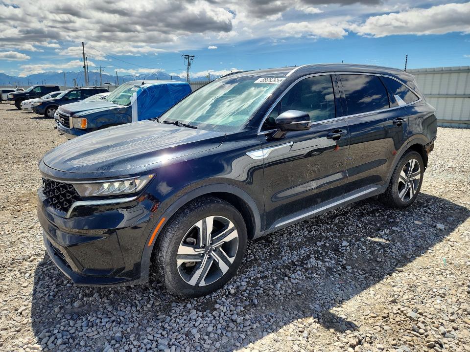 KIA SORENTO 2024 z numerem VIN KNDRHDLG4R5259641 - Zdjęcie z aukcji