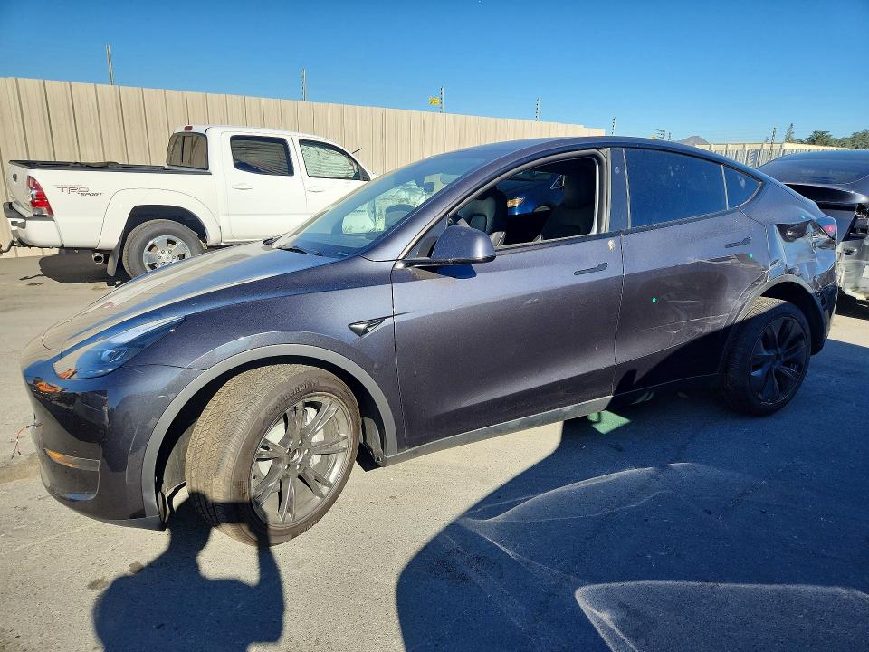 TESLA MODEL Y 2024 with VIN 7SAYGDED0RF119184 - Photo from auction