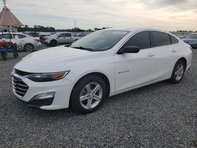 CHEVROLET MALIBU 2020 with VIN 1G1ZC5ST2LF083413 - Photo from auction