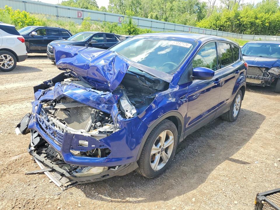 FORD ESCAPE 2014 with VIN 1FMCU0GXXEUC74547 - Photo from auction