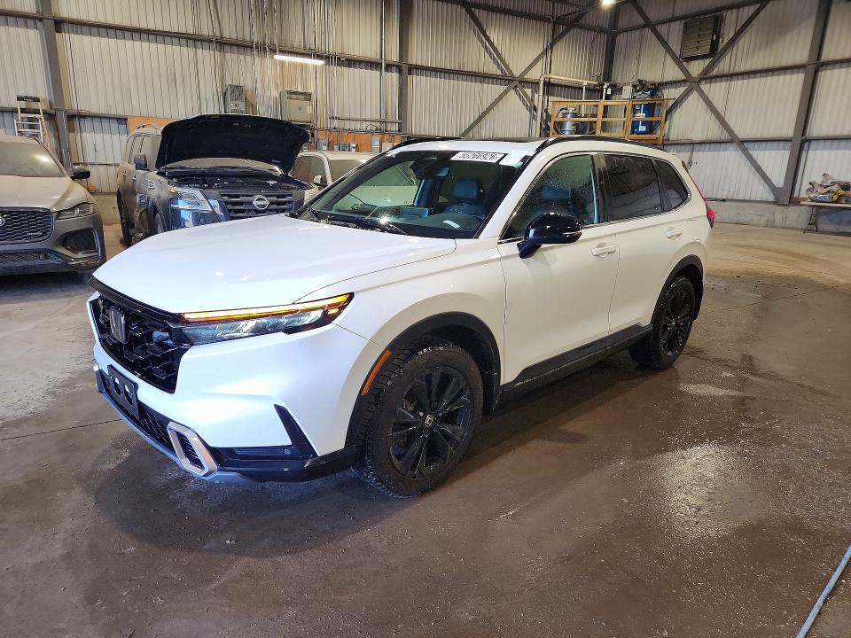 HONDA CR-V 2023 with VIN 2HKRS6H91PH202513 - Photo from auction