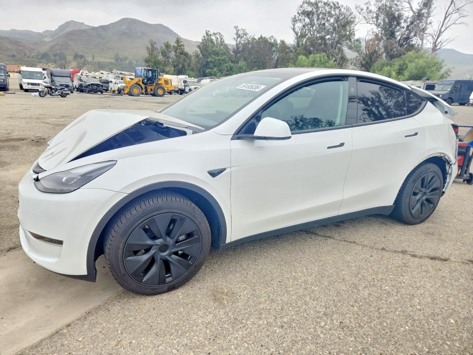 TESLA MODEL Y 2024 with VIN 7SAYGDED5RF096128 - Photo from auction