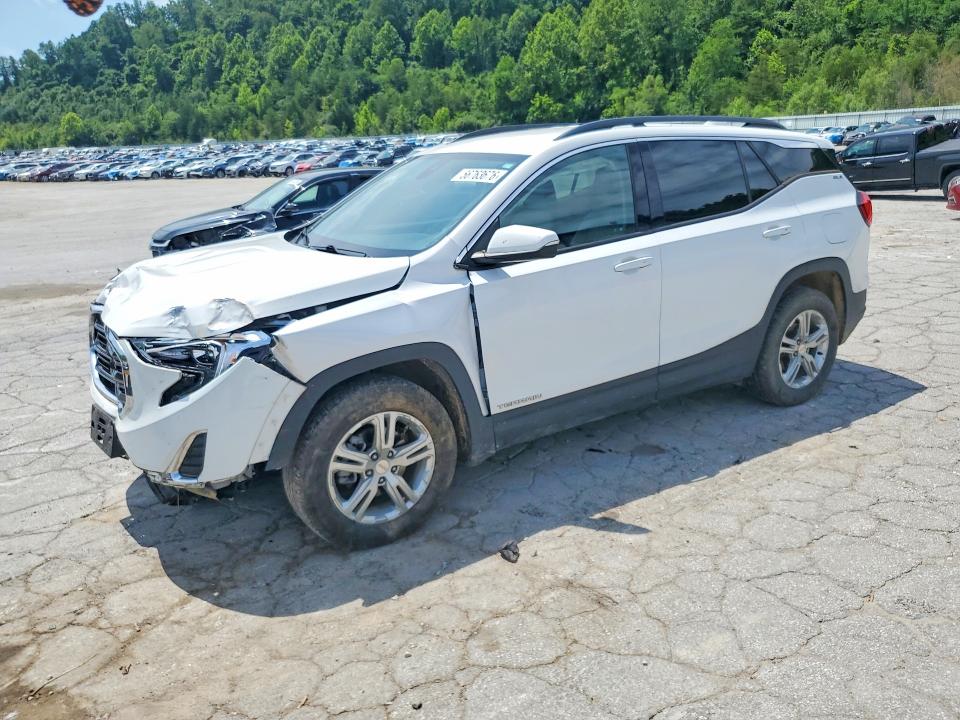 GMC TERRAIN 2020 with VIN 3GKALTEV7LL250512 - Photo from auction