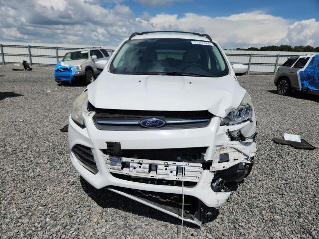 Photo 5 from auction – 2014 FORD ESCAPE with VIN 1FMCU0GX5EUE28792
