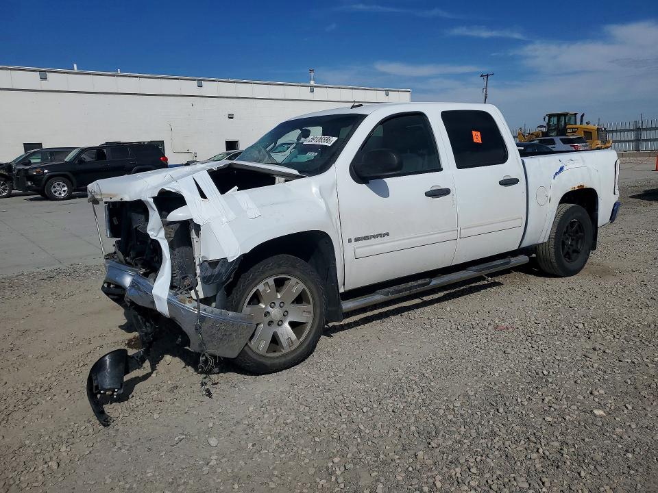 GMC SIERRA 2008 with VIN 3GTEK13J78G256850 - Photo from auction