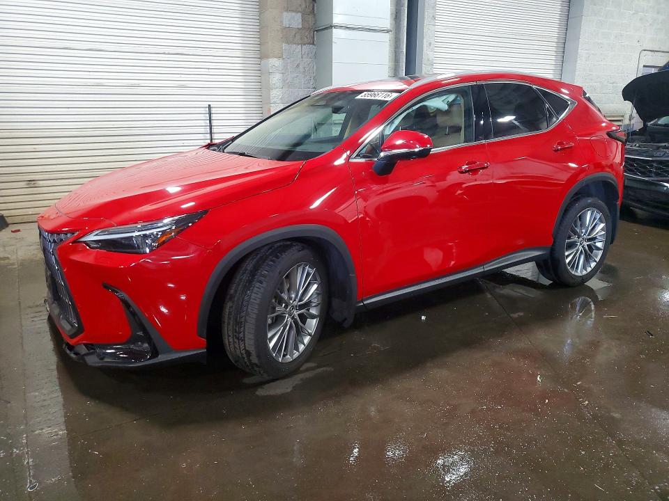 LEXUS NX 2024 with VIN 2T2HGCEZ5RC055209 - Photo from auction