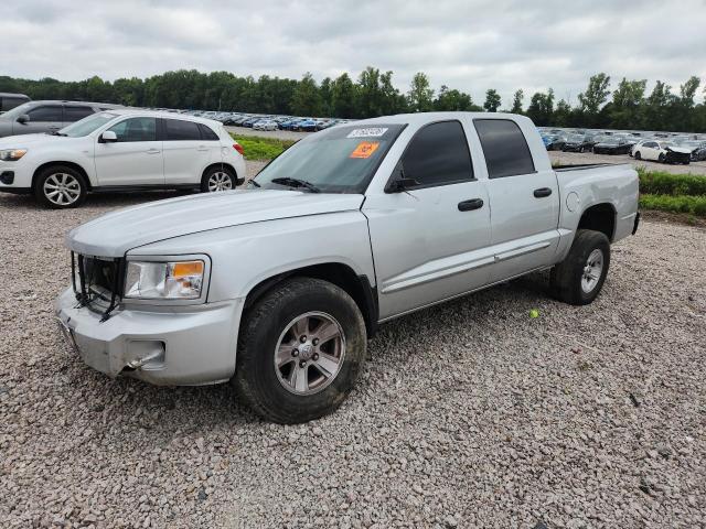 DODGE DAKOTA 2008 with VIN 1D7HW58NX8S602375 - Photo from auction