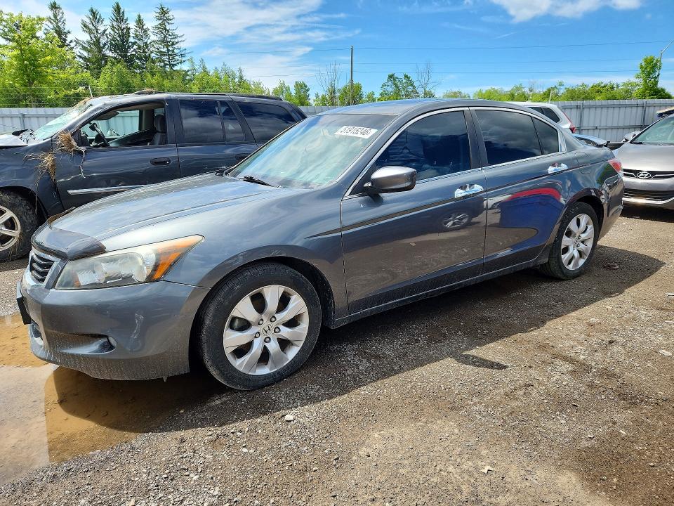 HONDA ACCORD 2010 with VIN 1HGCP3F8XAA004822 - Photo from auction