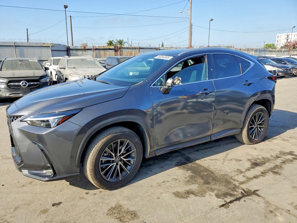 2024 LEXUS NX 250 - Търг №56854506