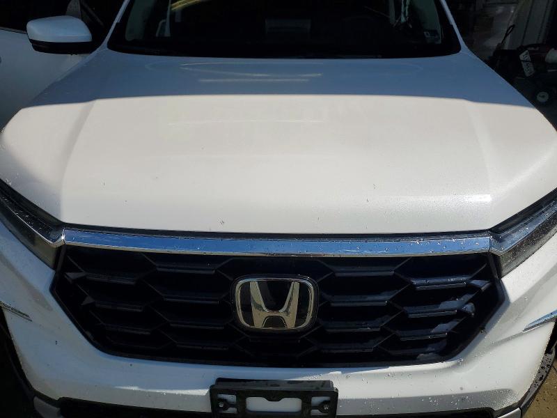 Photo 12 from auction – 2025 HONDA PILOT with VIN 5FNYG1H7XSB012439