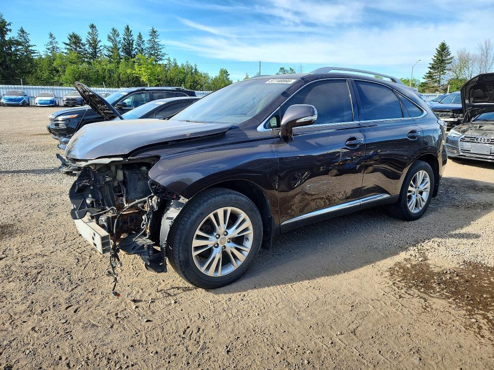 LEXUS RX 350 2013 with VIN 2T2BK1BA1DC160247 - Photo from auction