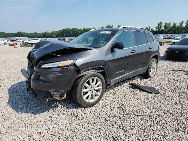 JEEP CHEROKEE 2014 with VIN 1C4PJLDS1EW256516 - Photo from auction