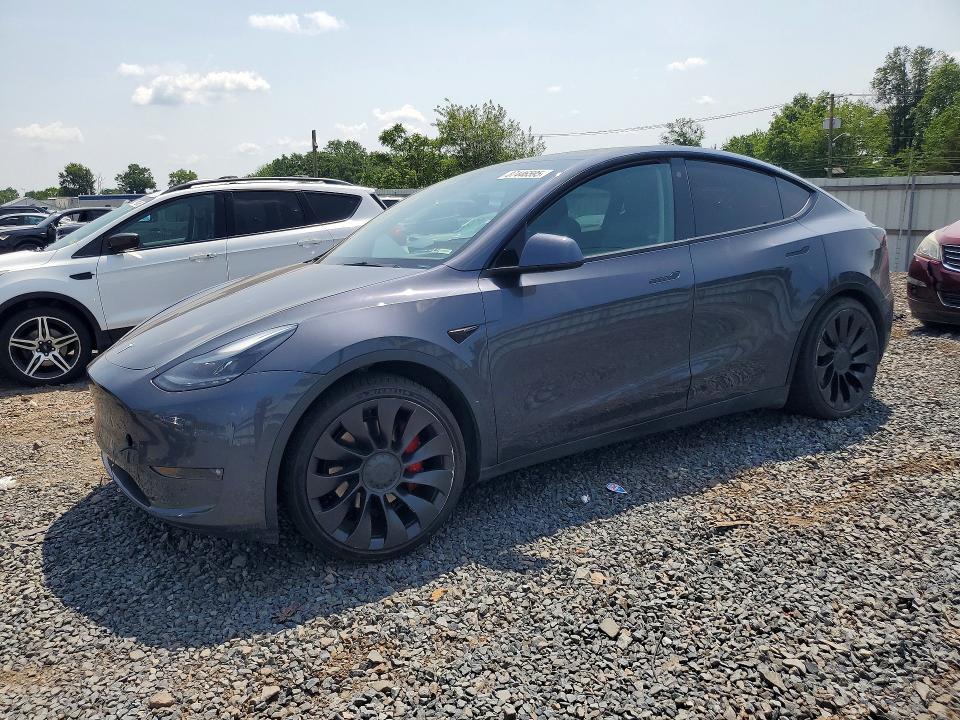 TESLA MODEL Y 2022 with VIN 7SAYGDEF8NF511955 - Photo from auction