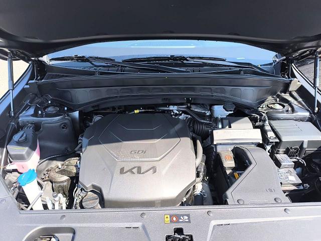 Photo 13 from auction – 2025 KIA TELLURIDE with VIN 5XYP3DGC2SG614607