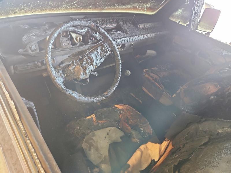 Photo 8 from auction – 1985 VOLKSWAGEN VANAGON with VIN WV2ZB0256FH052271