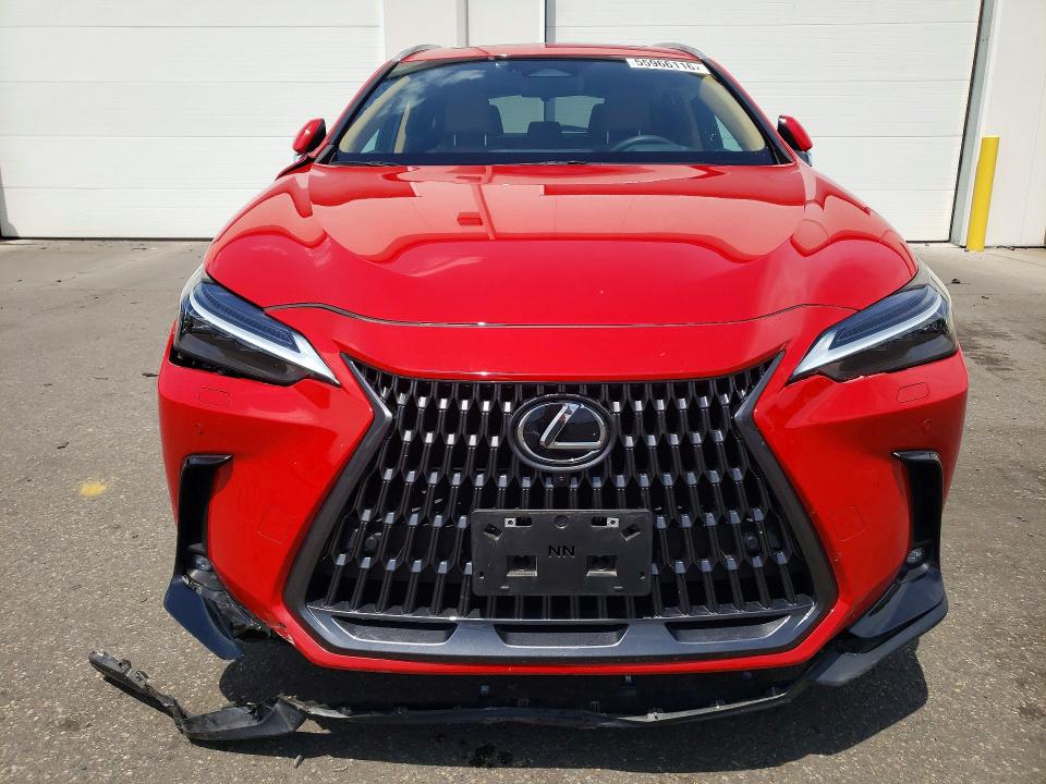 Photo 5 from auction – 2024 LEXUS NX with VIN 2T2HGCEZ5RC055209