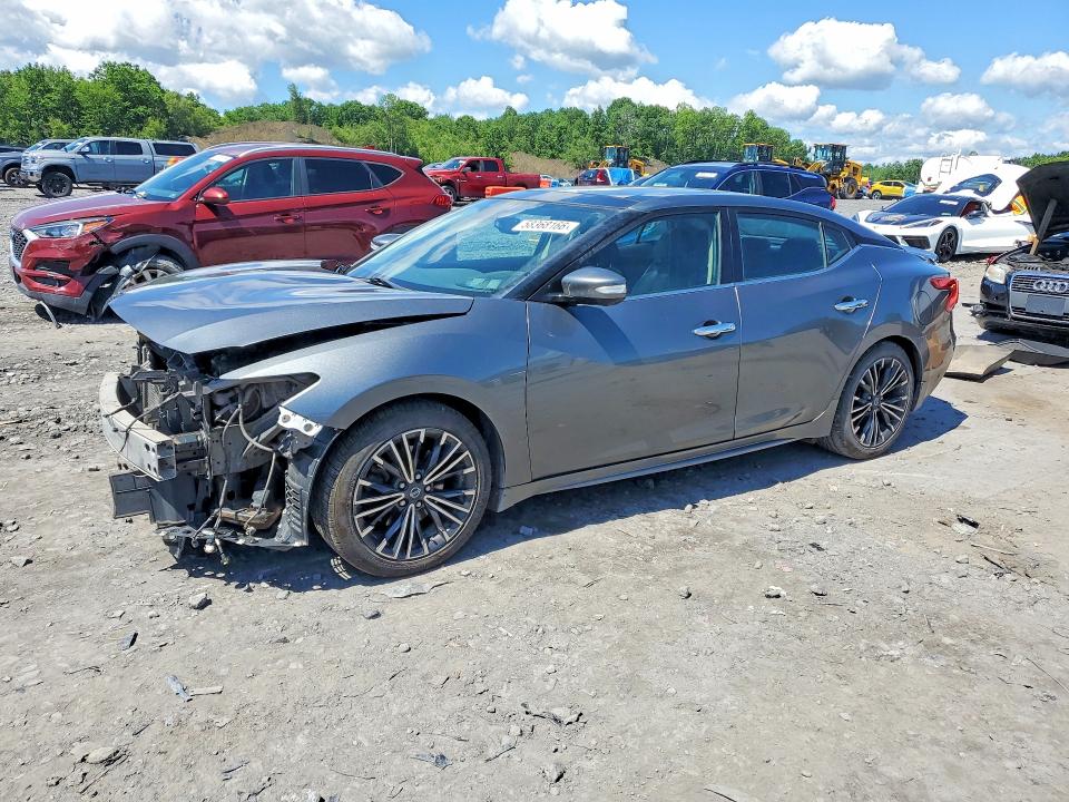NISSAN MAXIMA 2017 with VIN 1N4AA6AP4HC394439 - Photo from auction