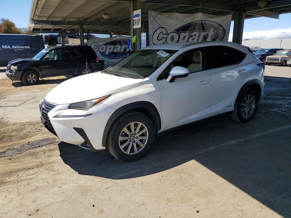 LEXUS NX 2019 with VIN JTJBJRBZ0K2109391 - Photo from auction