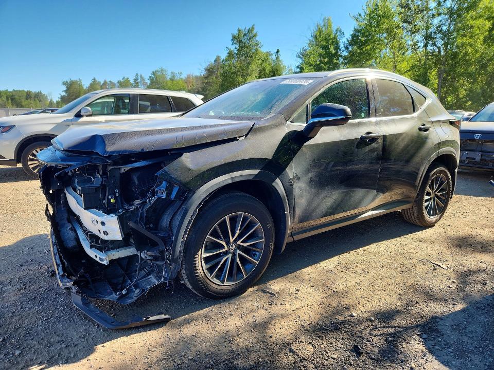 Photo 1 from auction – 2024 LEXUS NX 350H with VIN 2T2GKCEZ0RC027389