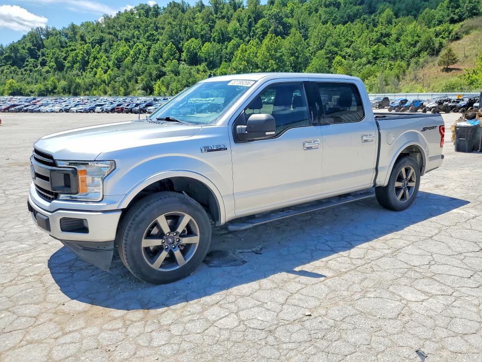 FORD F150 2019 with VIN 1FTEW1CP2KFB00216 - Photo from auction