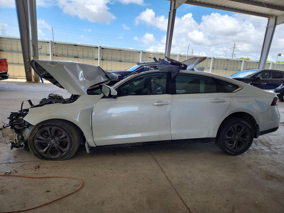 HONDA ACCORD 2024 with VIN 1HGCY2F63RA062918 - Photo from auction