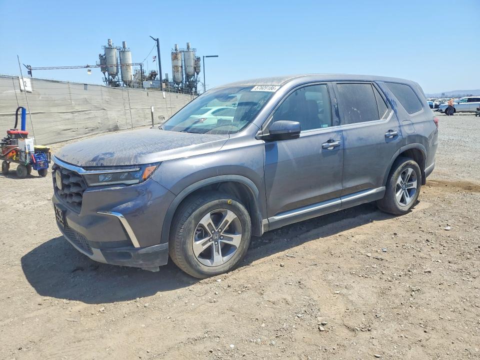 HONDA PILOT 2024 with VIN 5FNYG2H53RB001832 - Photo from auction