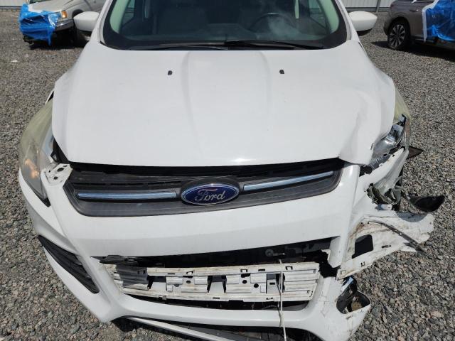 Photo 12 from auction – 2014 FORD ESCAPE with VIN 1FMCU0GX5EUE28792