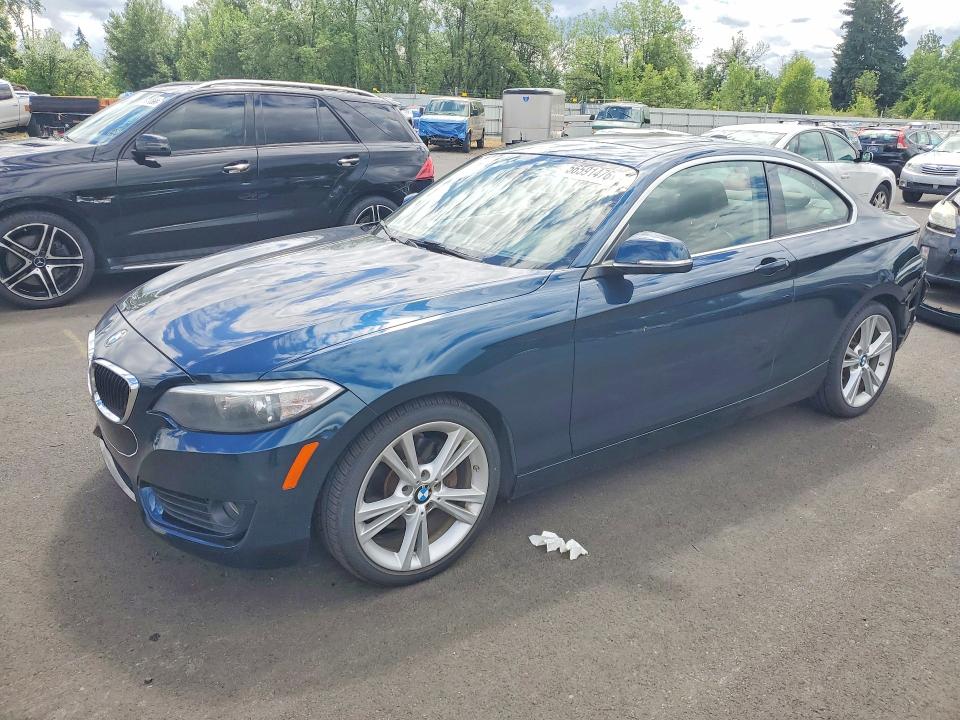 BMW 228 2014 with VIN WBA1F5C5XEV246049 - Photo from auction