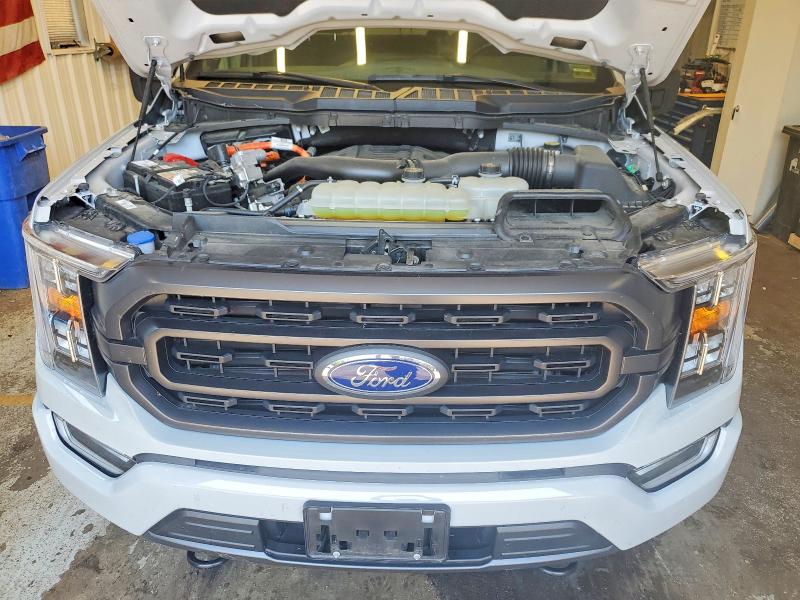 Photo 11 from auction – 2023 FORD F150 with VIN 1FTFW1ED2PFC74916