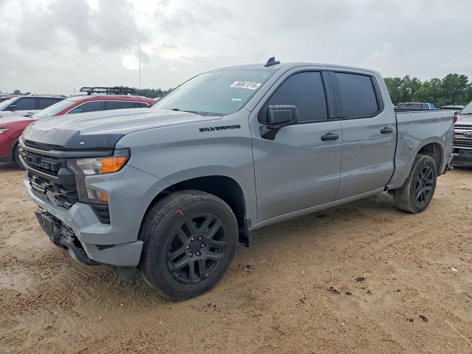 CHEVROLET SILVERADO 2024 with VIN 3GCPDBEK3RG183430 - Photo from auction