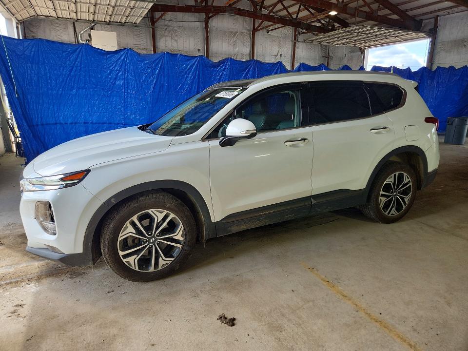 HYUNDAI SANTA FE 2020 with VIN 5NMS5CAA7LH250097 - Photo from auction