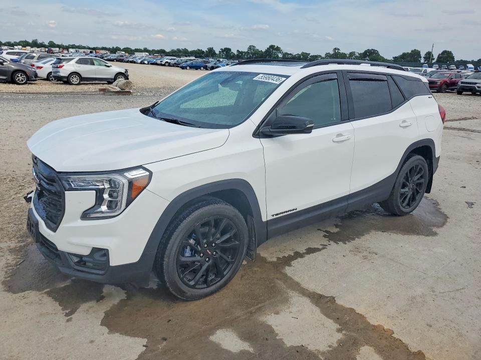 GMC TERRAIN 2023 with VIN 3GKALPEGXPL154047 - Photo from auction