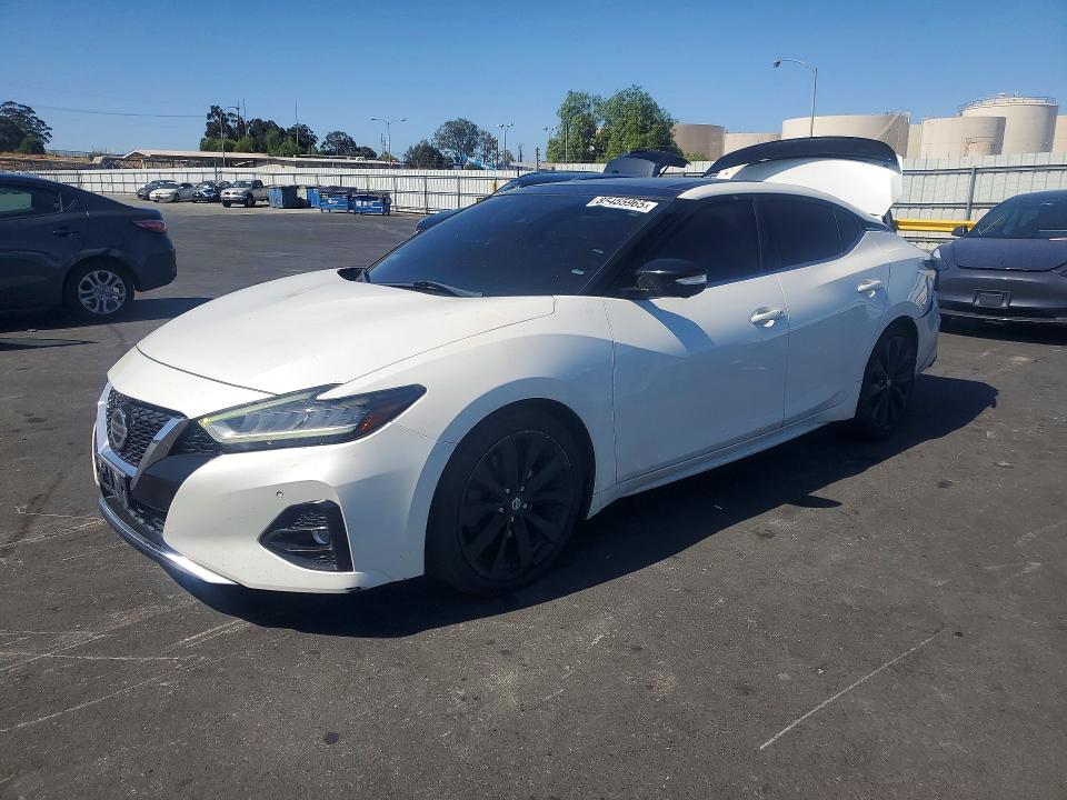 NISSAN MAXIMA 2019 with VIN 1N4AA6AV4KC382202 - Photo from auction
