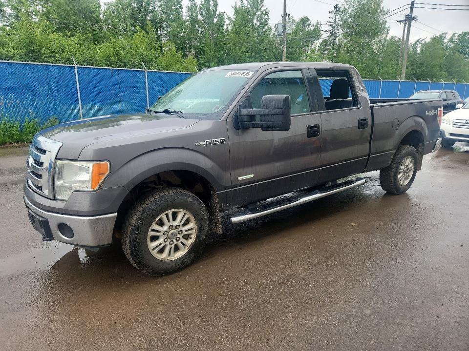 FORD F150 2012 with VIN 1FTVW1ET2CKE00812 - Photo from auction