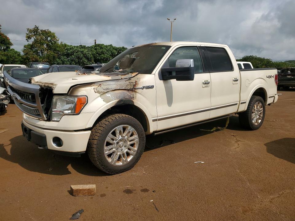 FORD F150 2009 with VIN 1FTPW14VX9FB04594 - Photo from auction