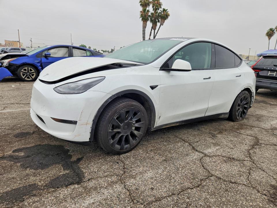 TESLA MODEL Y 2024 with VIN 7SAYGDED5RF018531 - Photo from auction