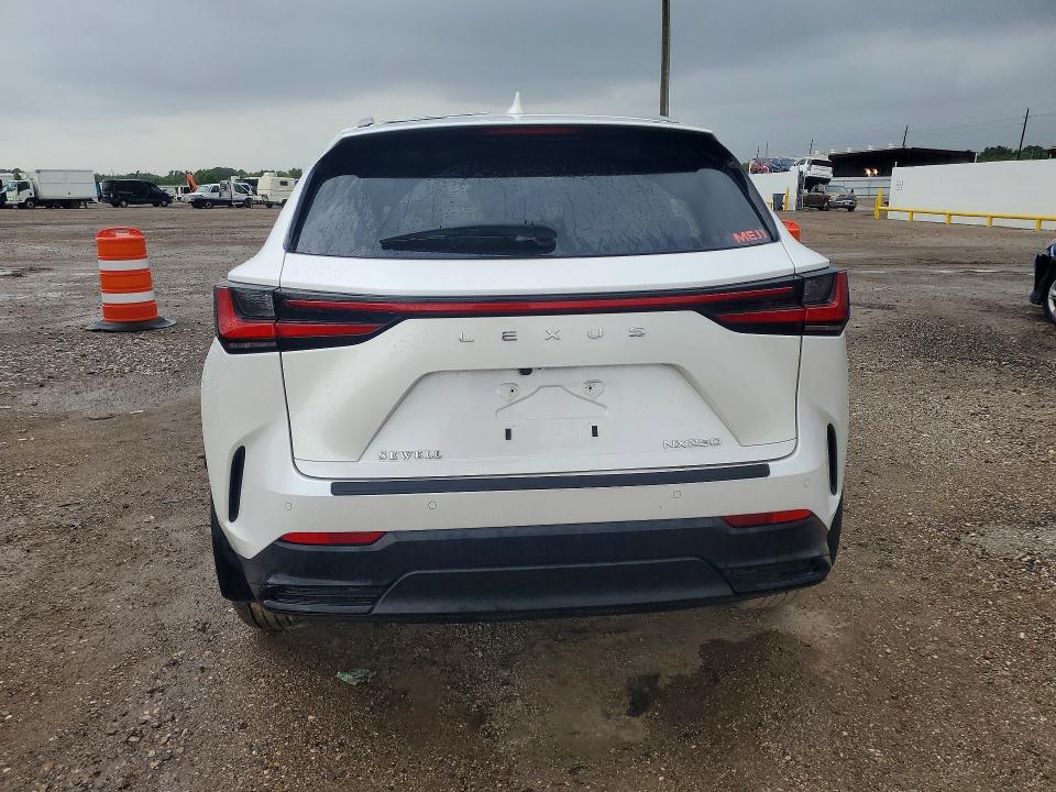 Photo 6 from auction – 2024 LEXUS NX with VIN 2T2GDCAZ4RC014130