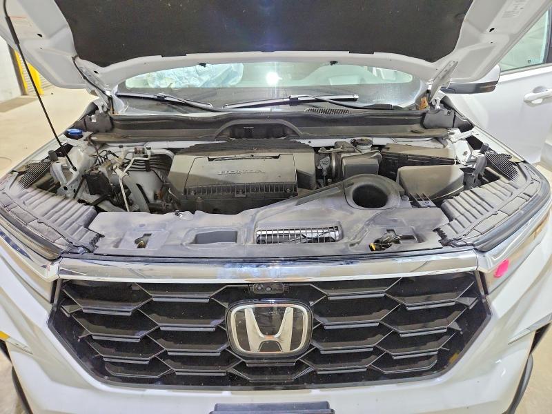 Photo 12 from auction – 2024 HONDA PILOT with VIN 5FNYG1H87RB032229