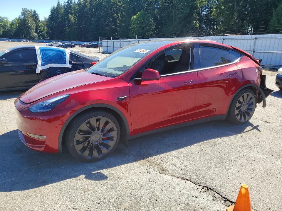 TESLA MODEL Y 2025 with VIN 7SAYGDEF0SF259534 - Photo from auction