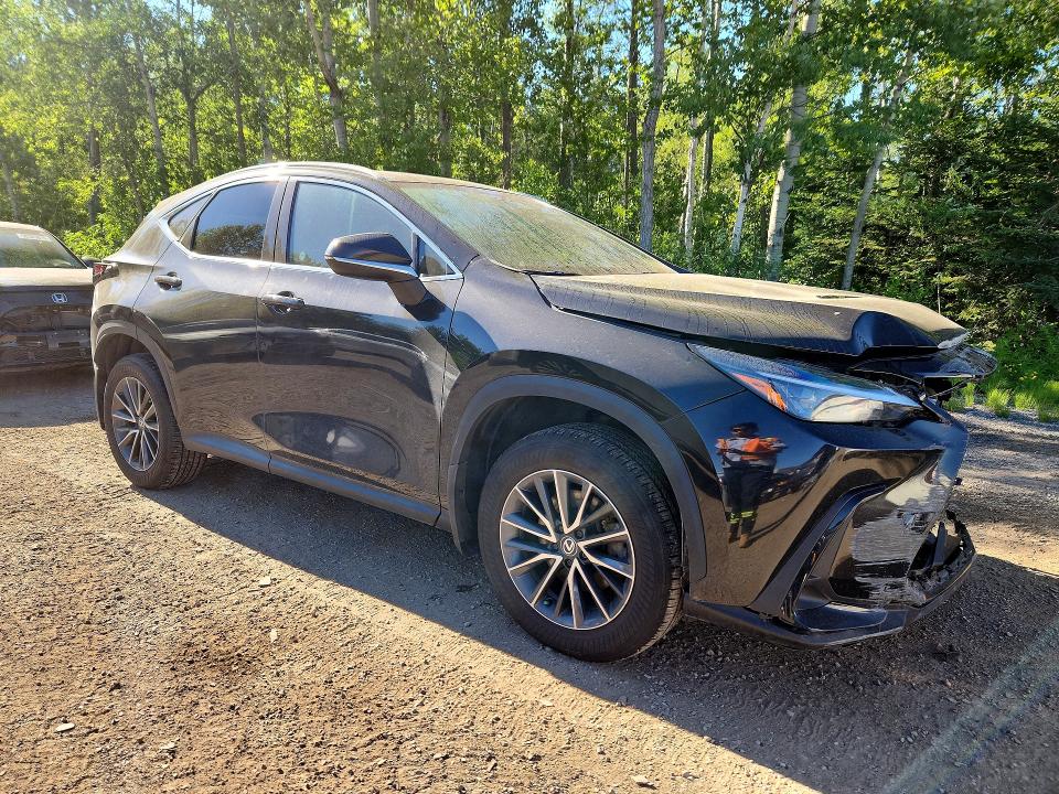 Photo 4 from auction – 2024 LEXUS NX 350H with VIN 2T2GKCEZ0RC027389
